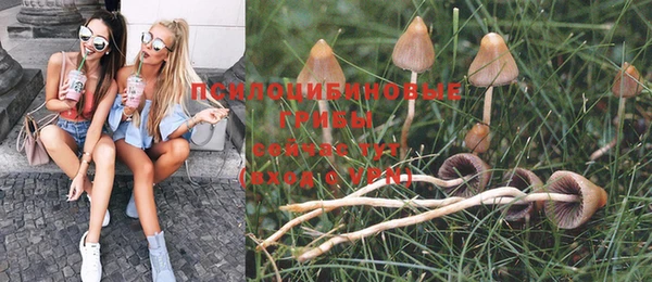 дмт Карпинск