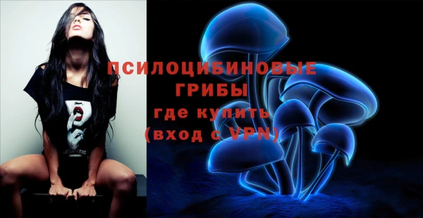 амф Касимов