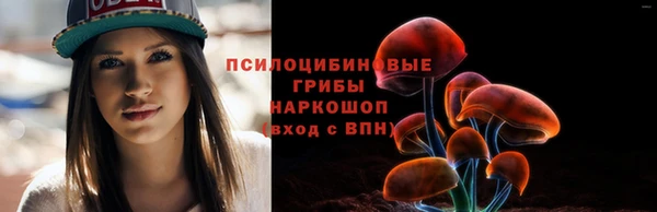 амф Касимов