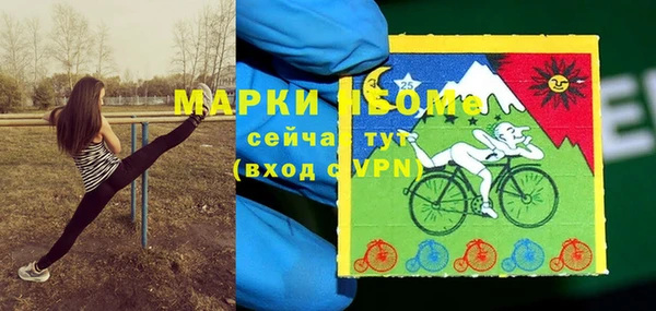 амф Касимов