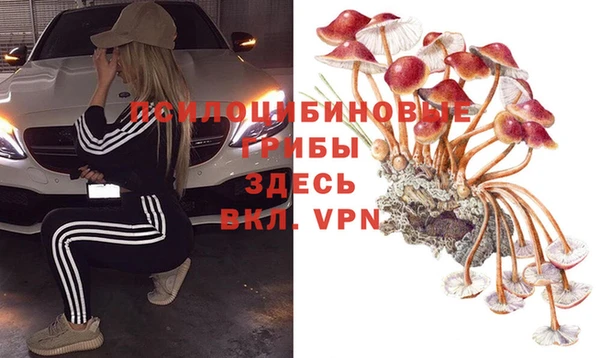 молекула духа Карталы
