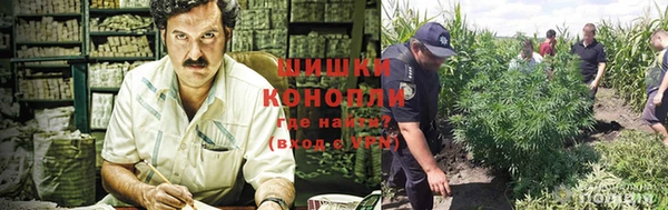 дмт Карпинск