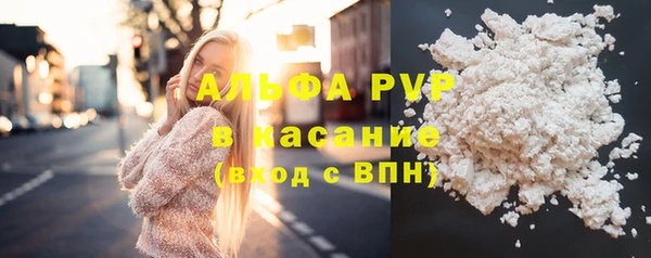 амф Касимов