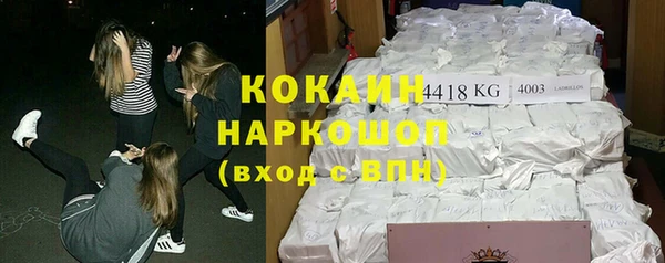 дмт Карпинск
