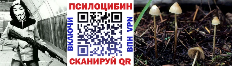 Псилоцибиновые грибы мухоморы Калязин